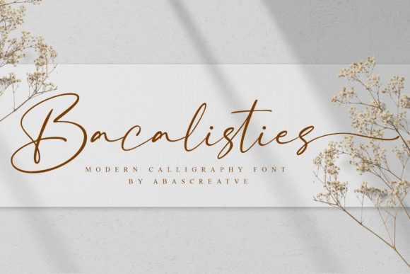Bacalisties: A Designer’s Honest Review