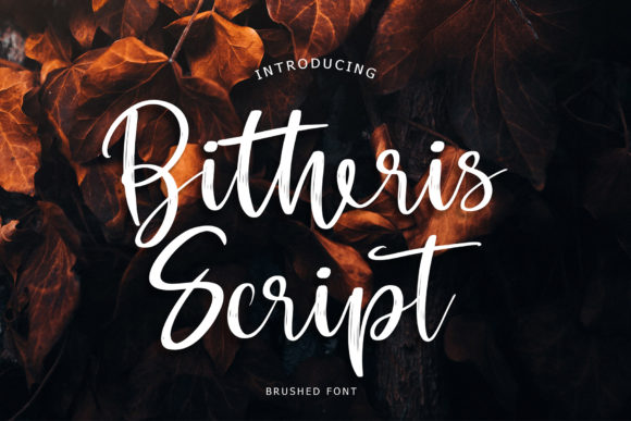 Bitheris: A Brush Handwritten Font for Modern Brand Identity