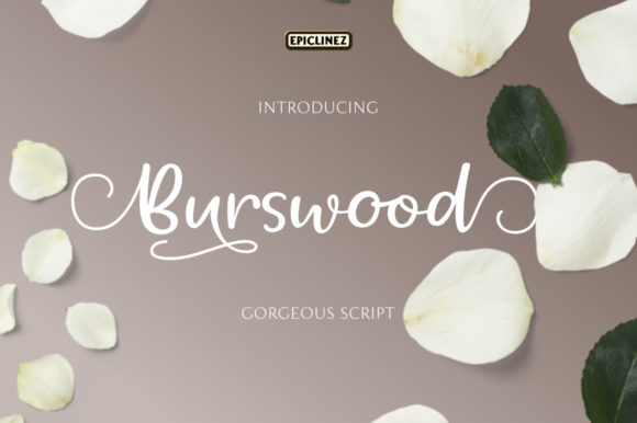 Burswood Font: A Handwritten Typeface for Real-World Branding