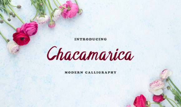 Chacamarica Typeface: Elevate Handmade Branding with Elegant Script