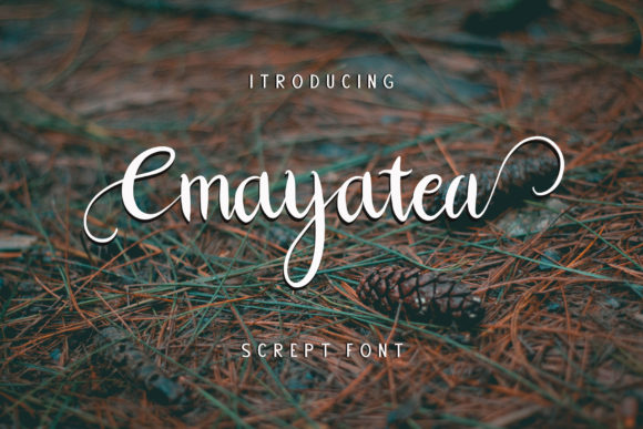 Cmayatea Font Review: A Tropical Script for Campaign Creativity
