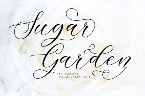 Sugar Garden Typeface: Elevating Digital Brand Identity
