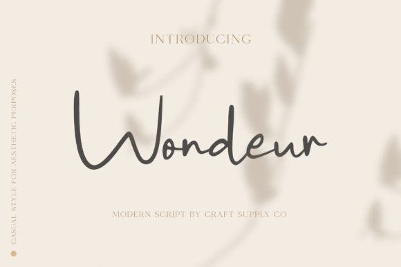 Wondeur: The Elegant Handwritten Typeface for Handmade Brands